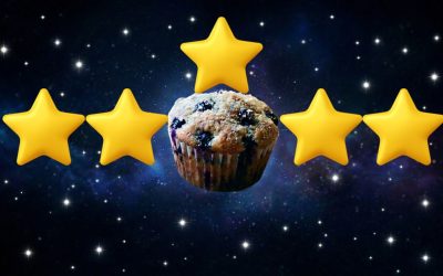 5 Star Wild Blueberry Muffins